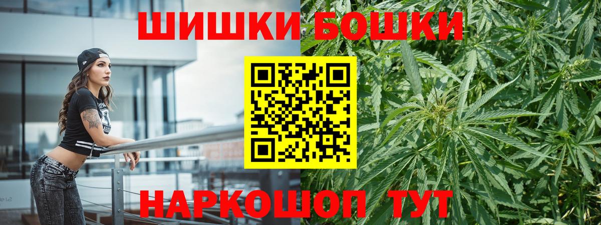 Бошки Шишки план Александров